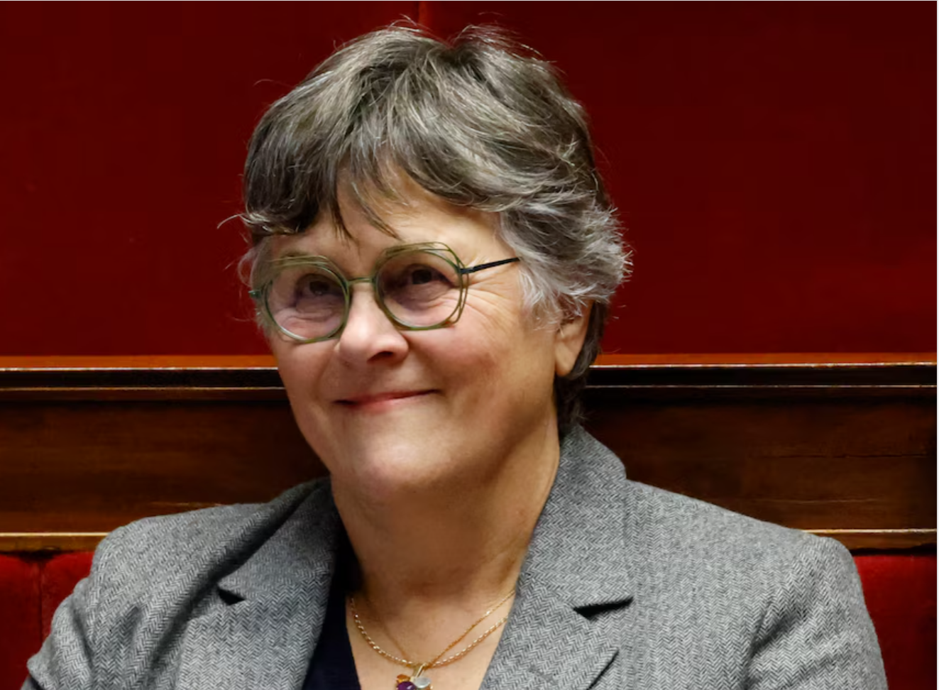 Portraits satiriques de politiciens : Dominique Voynet.