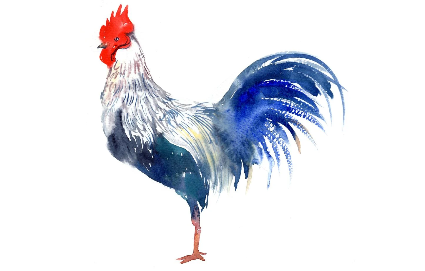 L'emblème de la France