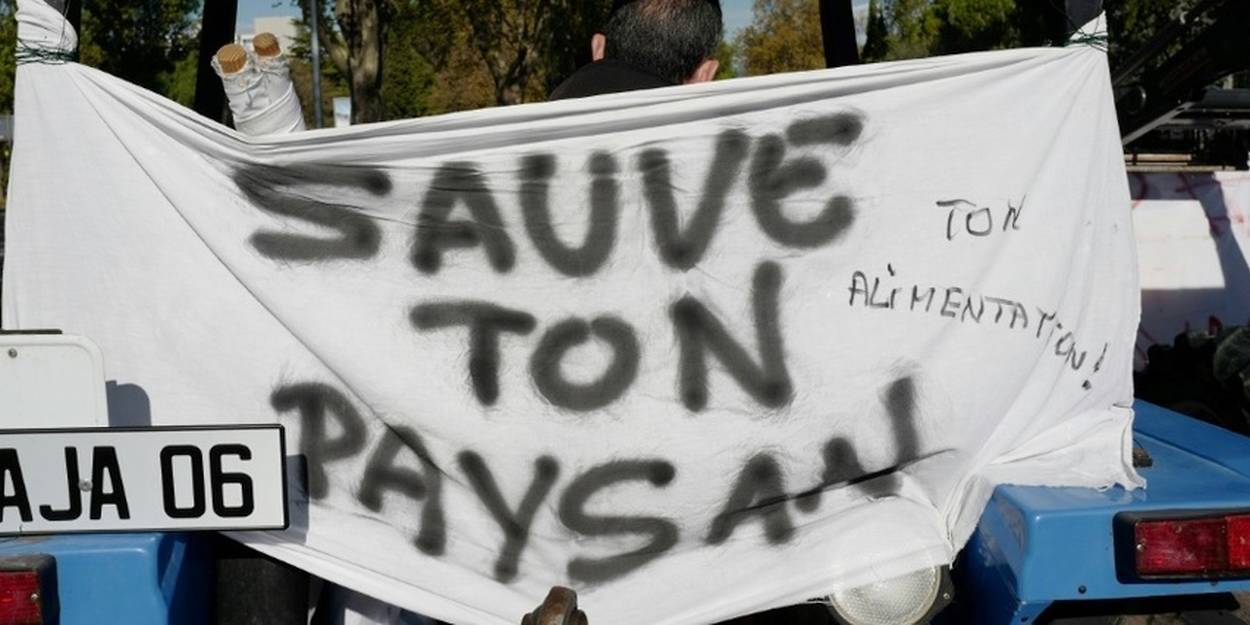 Le malaise paysan